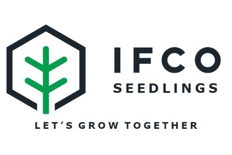 International Forest Co.